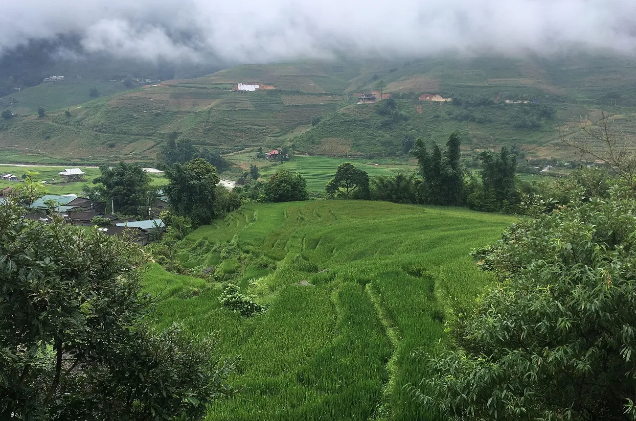 Sapa mùa nào đẹp nhất? Săn mây, ruộng bậc thang & lịch trình 3N2Đ